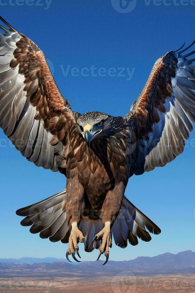 Photo of Martial Eagle on blue background. Generative AI