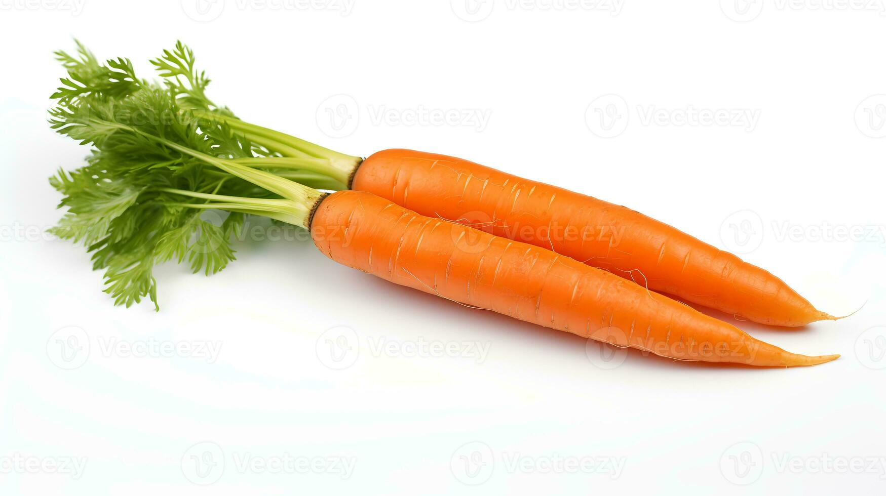 Photo of Carrots isolated on white background