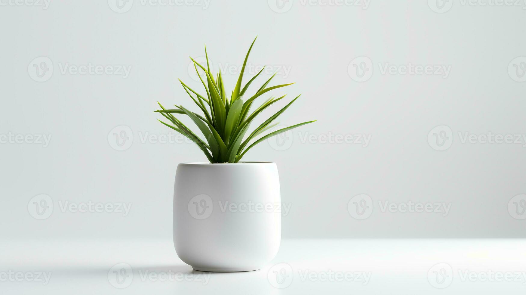 Photo houseplant in minimalist pot  for home decoration. Generative AI