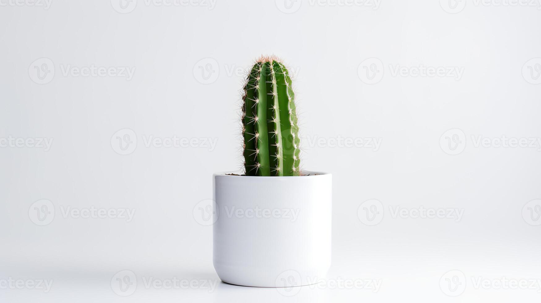 Photo of Organ pipe cactus in minimalist pot as houseplant for home decoration isolated on white background. Generative AI