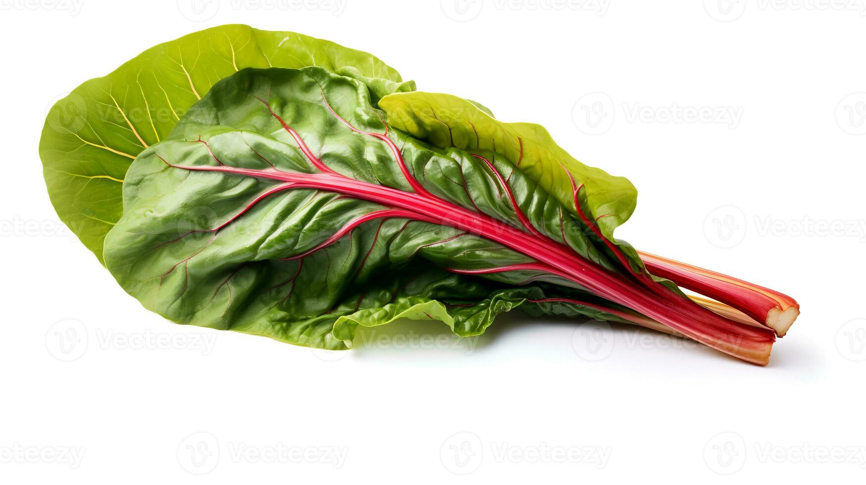 Photo of Swiss chard isolated on white background
