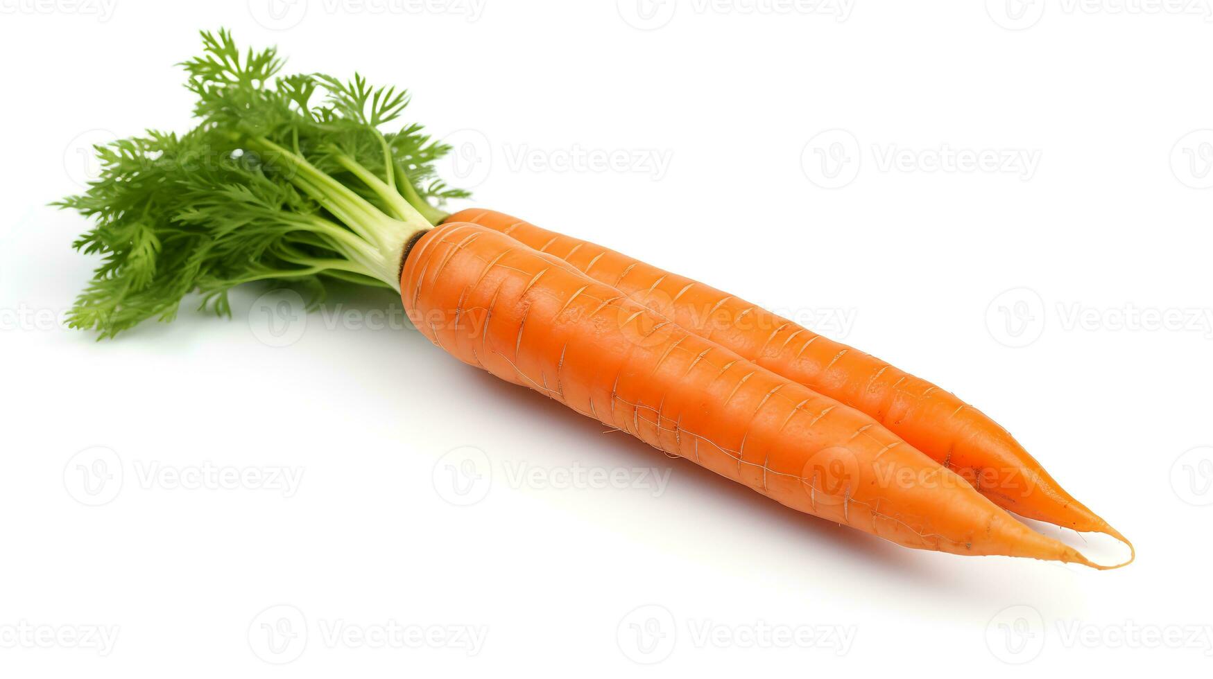 foto de zanahorias aislado en blanco antecedentes