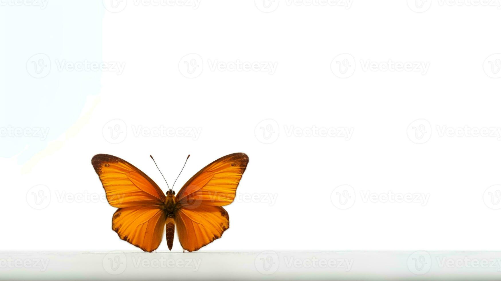 Photo of a julia butterly on white background. Generative AI