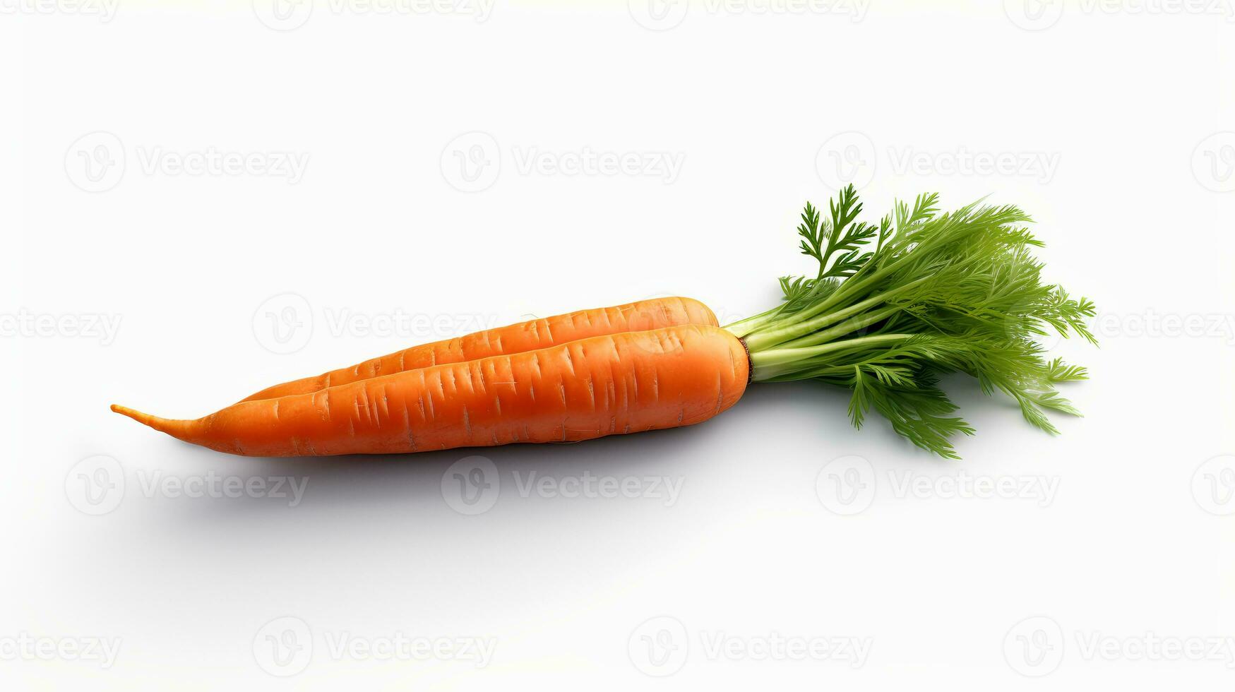 Photo of Carrot isolated on white background