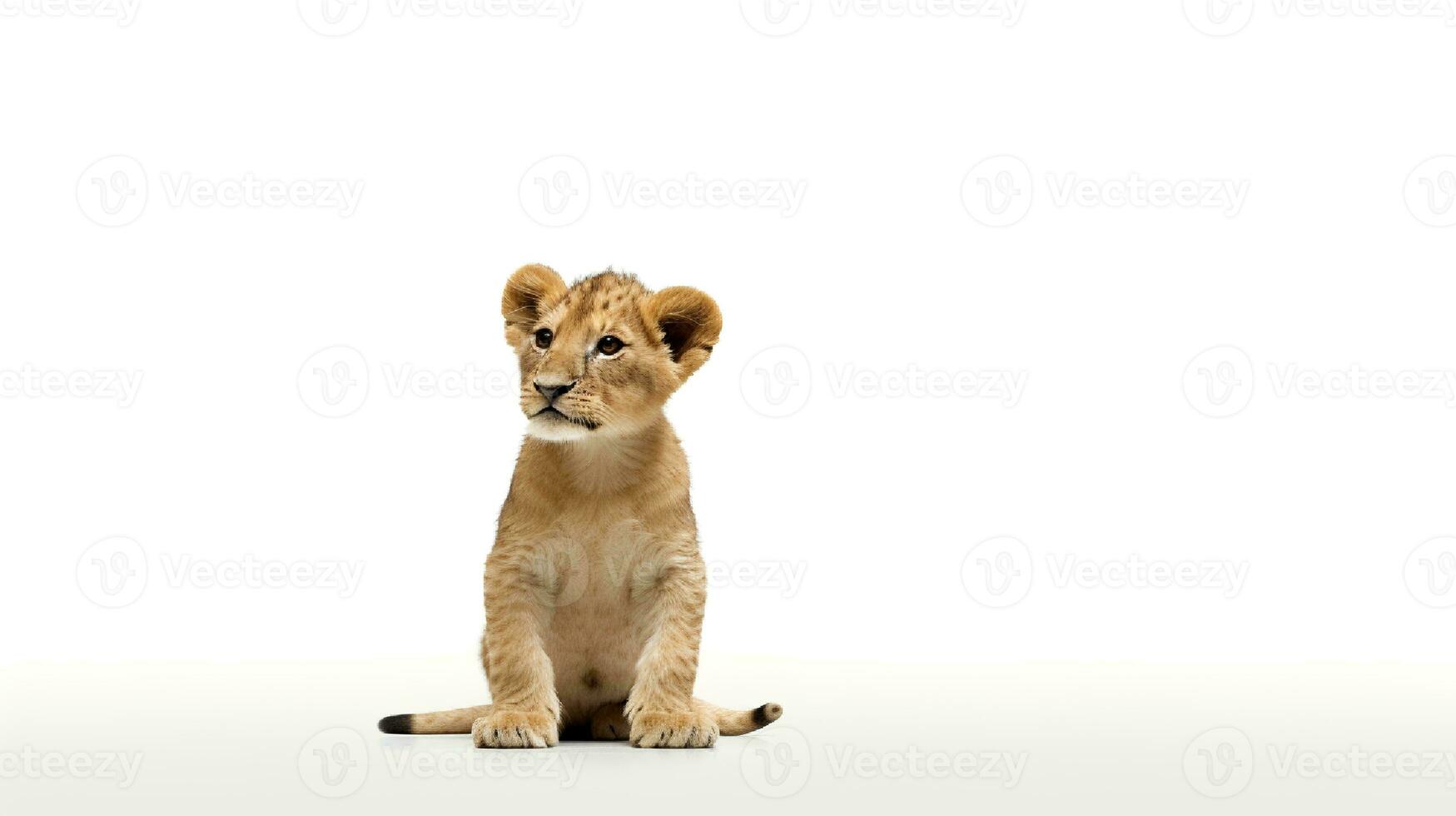 Photo of a lion on white background. Generative AI