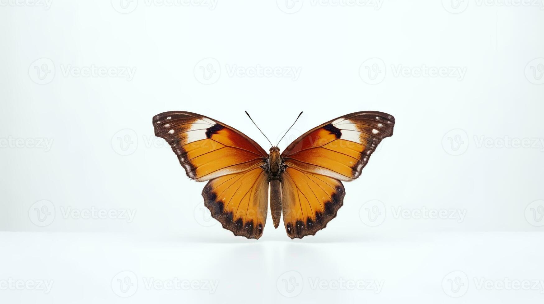 foto de un mariposa en blanco antecedentes. generativo ai