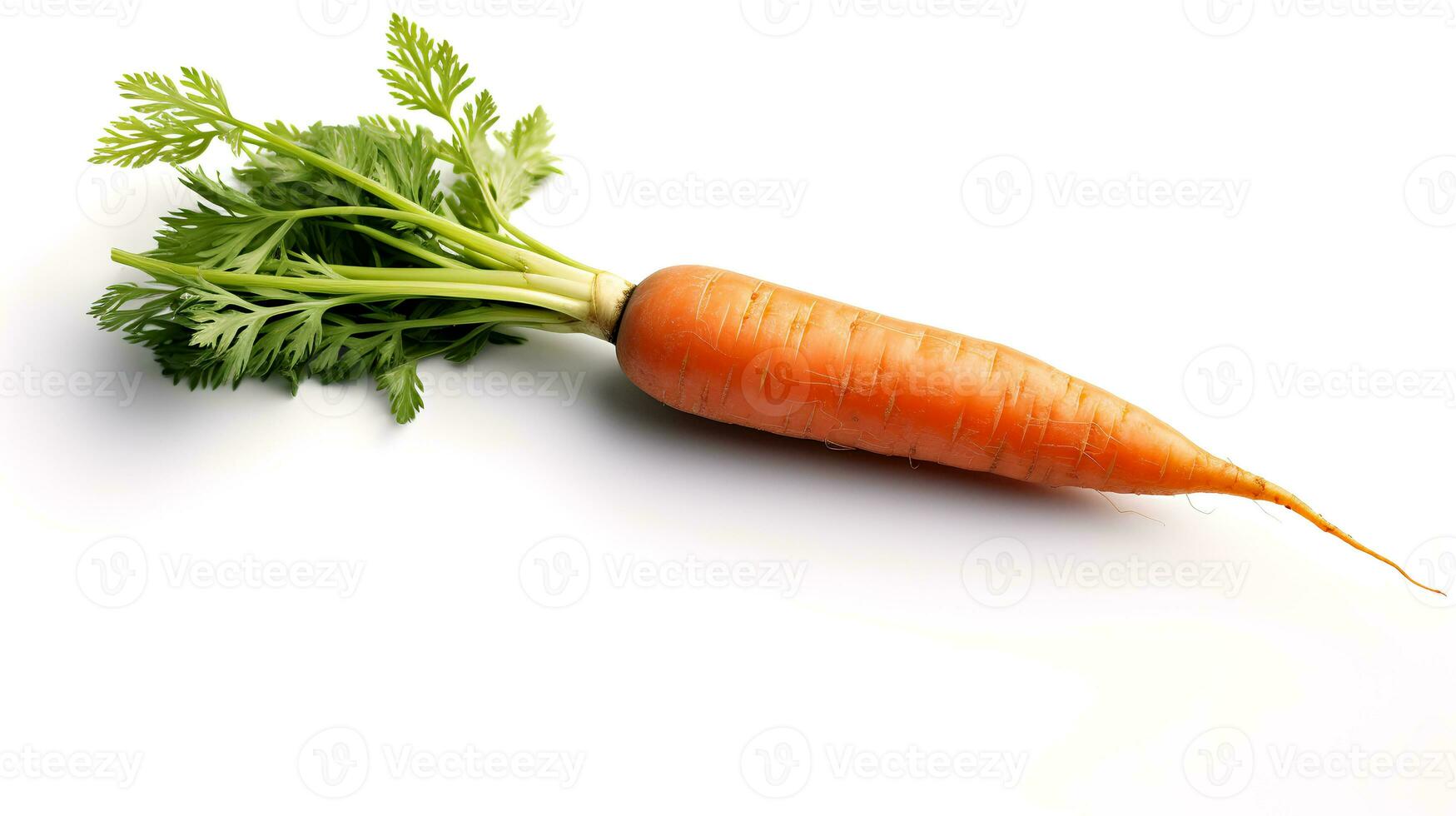 Photo of Carrot isolated on white background