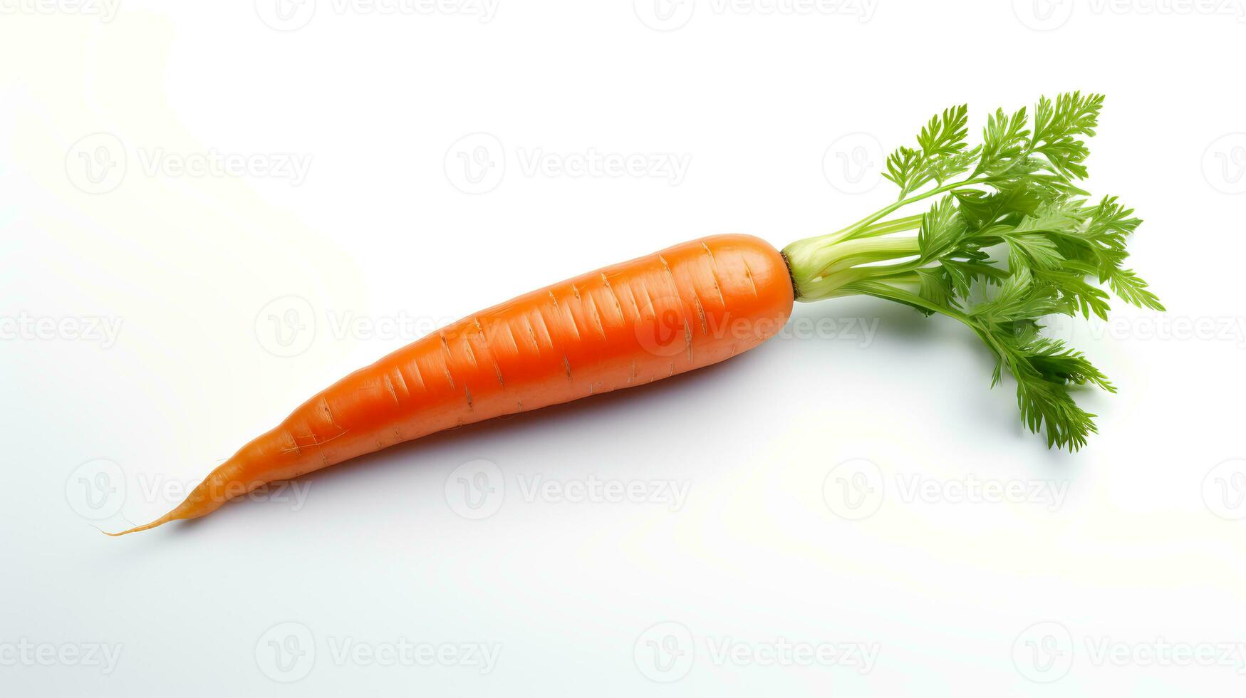 Photo of Carrot isolated on white background