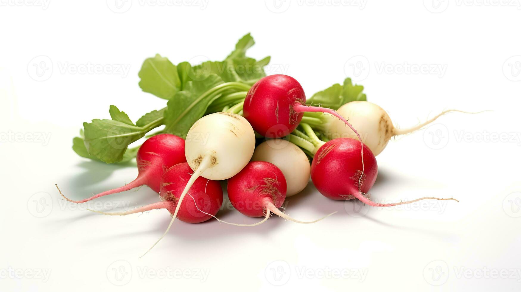 Photo of Radishes isolated on white background