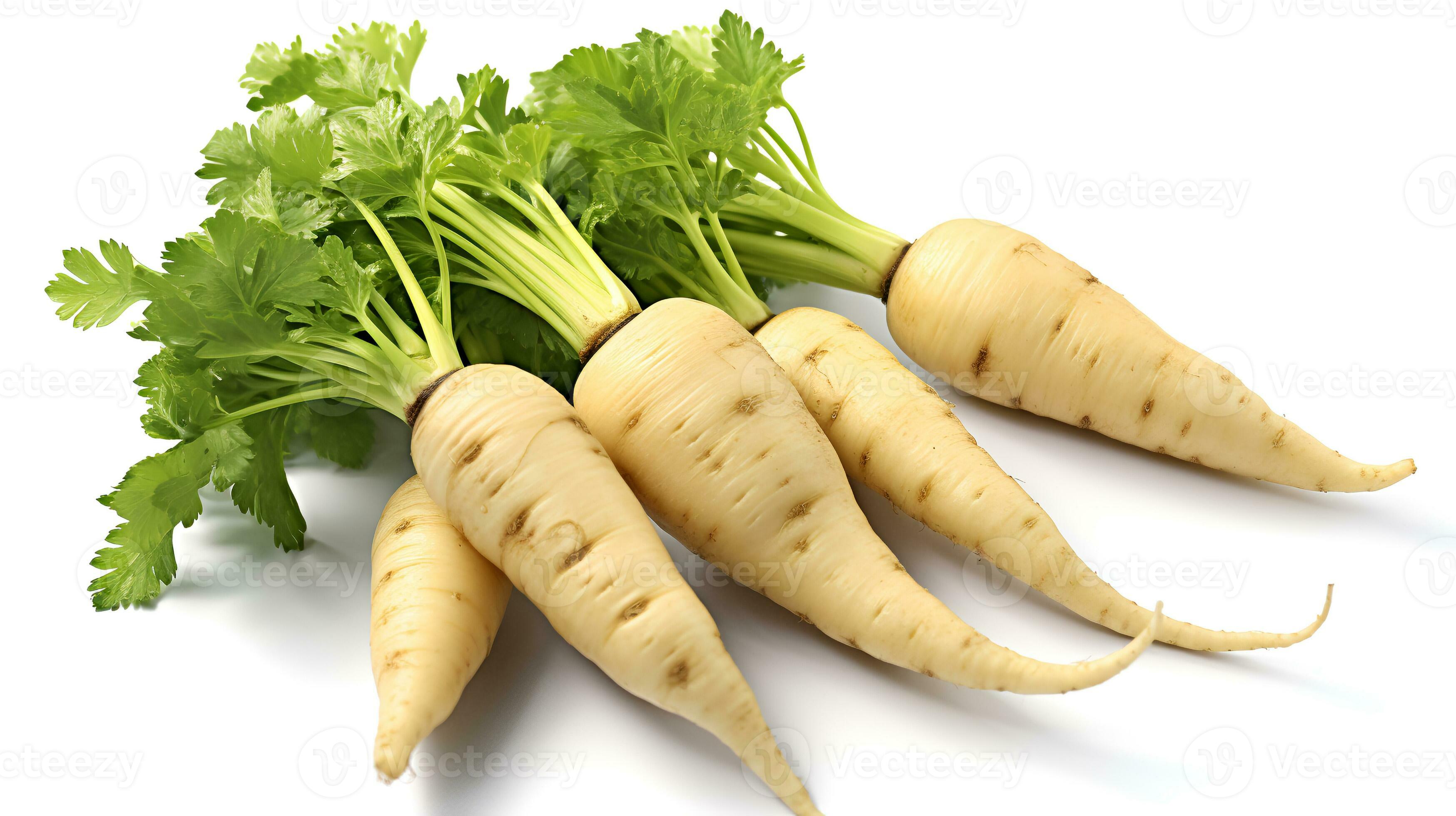 Photo of Parsnips isolated on white background 26743903 Stock Photo at