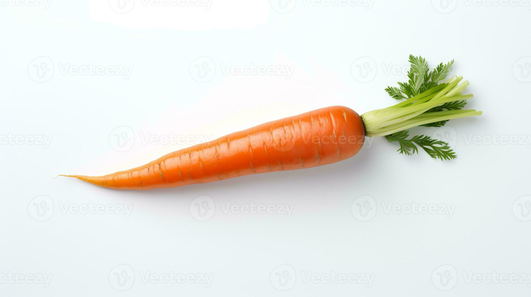 Photo of Carrot isolated on white background