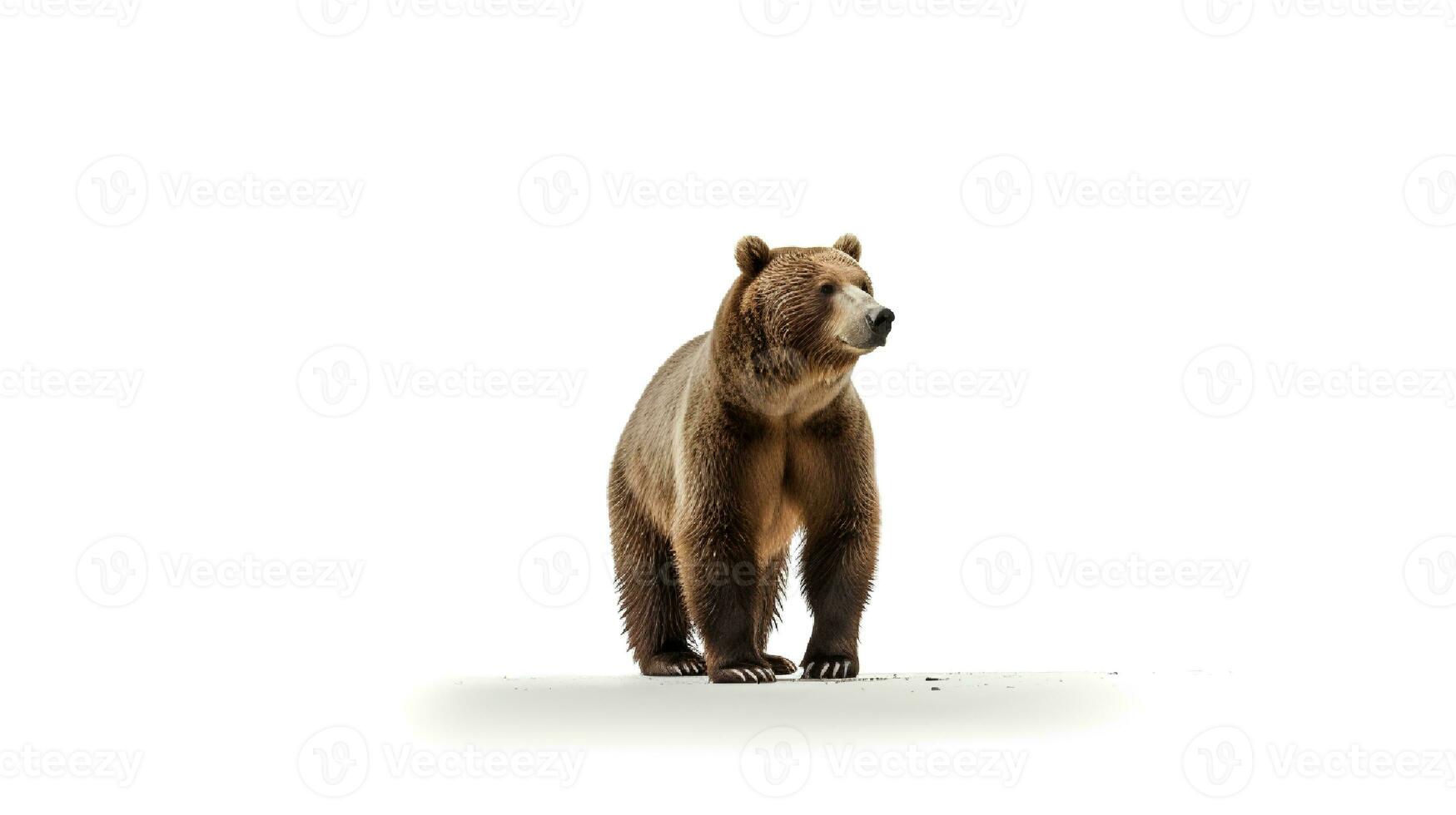 Photo of a american bear on white background. Generative AI