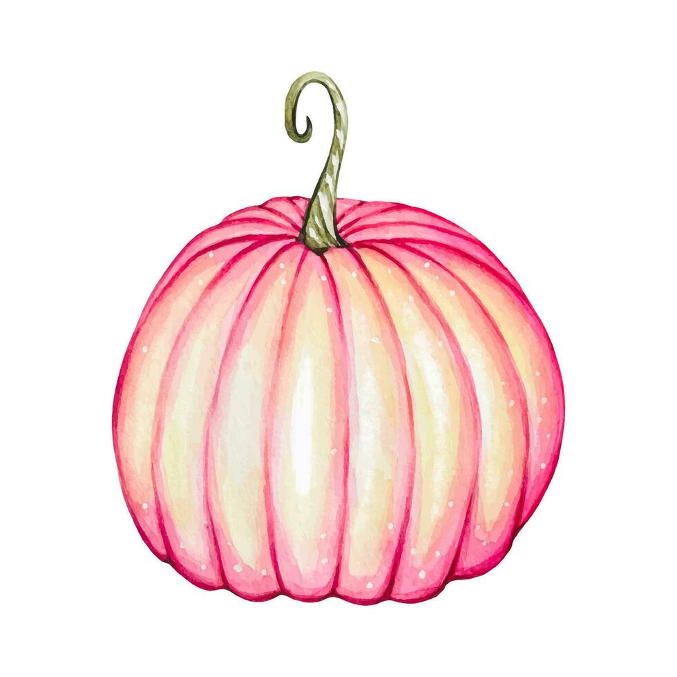 Hand painted watercolor pumpkin. Botanical illustration vector