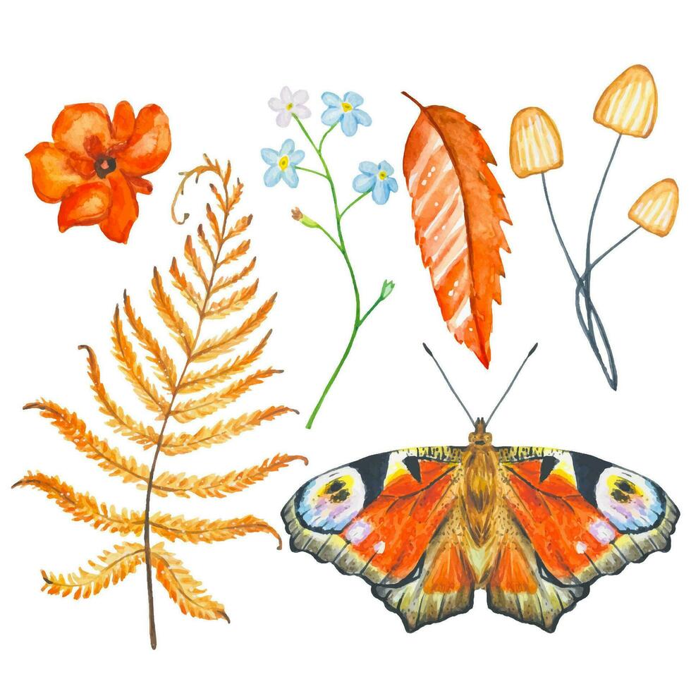 Forest set with watercolor leaves,flowers,mushrooms,butterfly vector