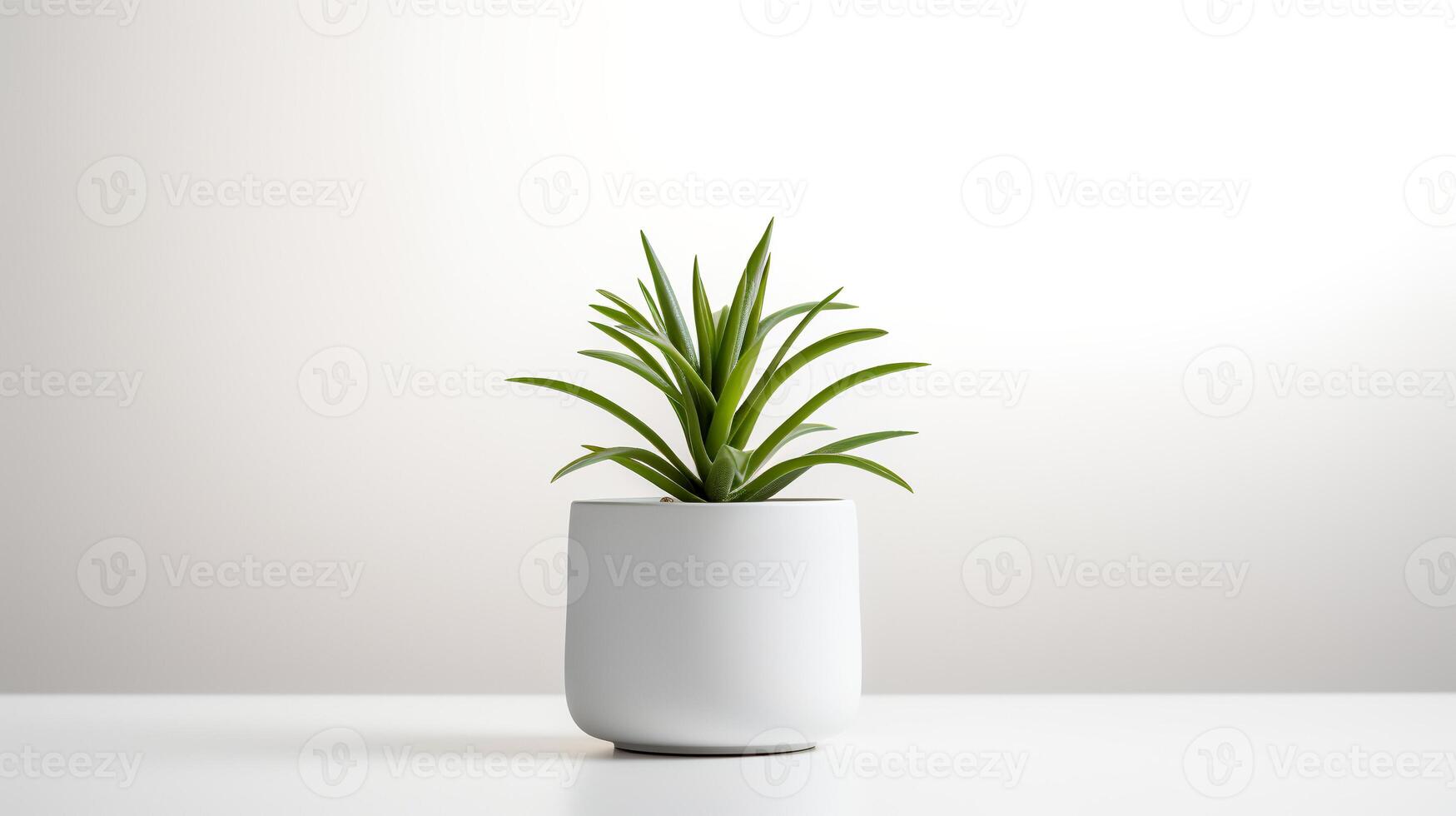 Photo houseplant in minimalist pot  for home decoration. Generative AI