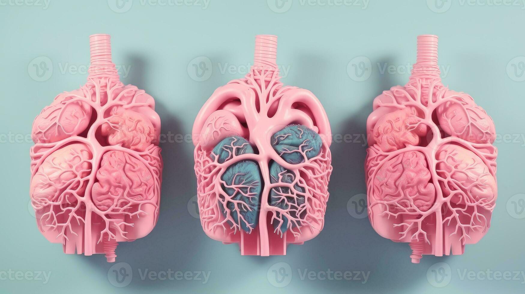 3D illustration of the human organ systems, Human internal organs. Anatomy. Nervous, circulatory, digestive, excretory, urinary,and bone systems. Medical education concept, Generative AI illustration photo