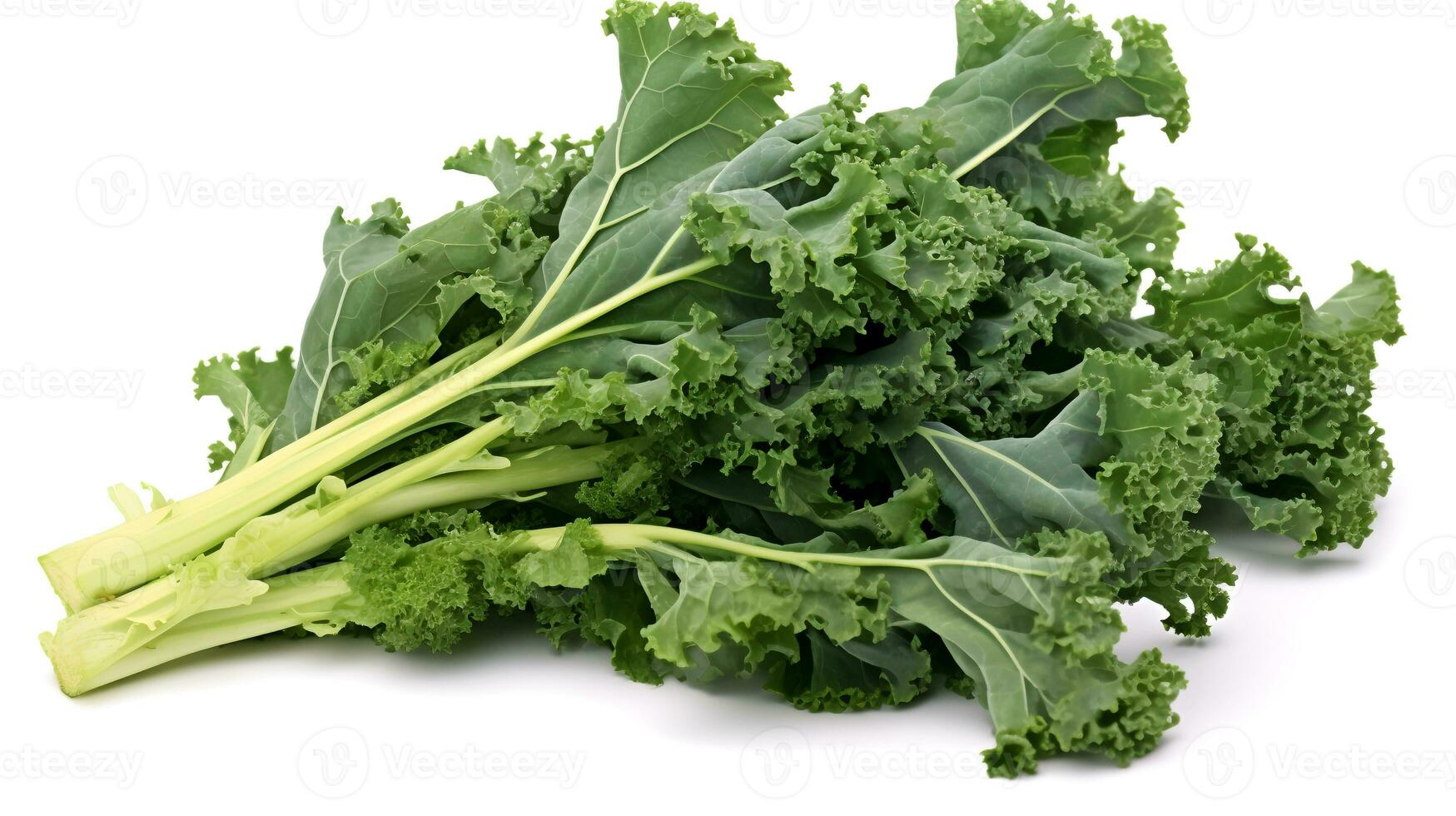 Photo of Kale isolated on white background