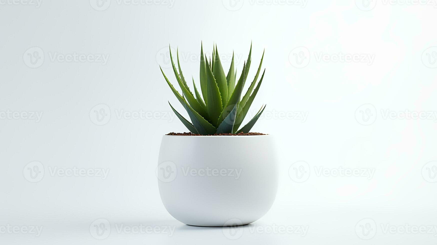 foto de agave en minimalista maceta como planta de casa para hogar decoración aislado en blanco antecedentes. generativo ai