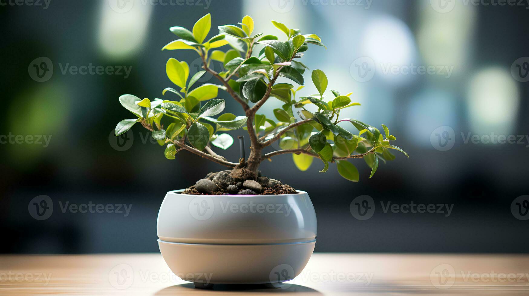 foto de bonsai en minimalista maceta como planta de casa para hogar decoración aislado en borroso antecedentes. generativo ai