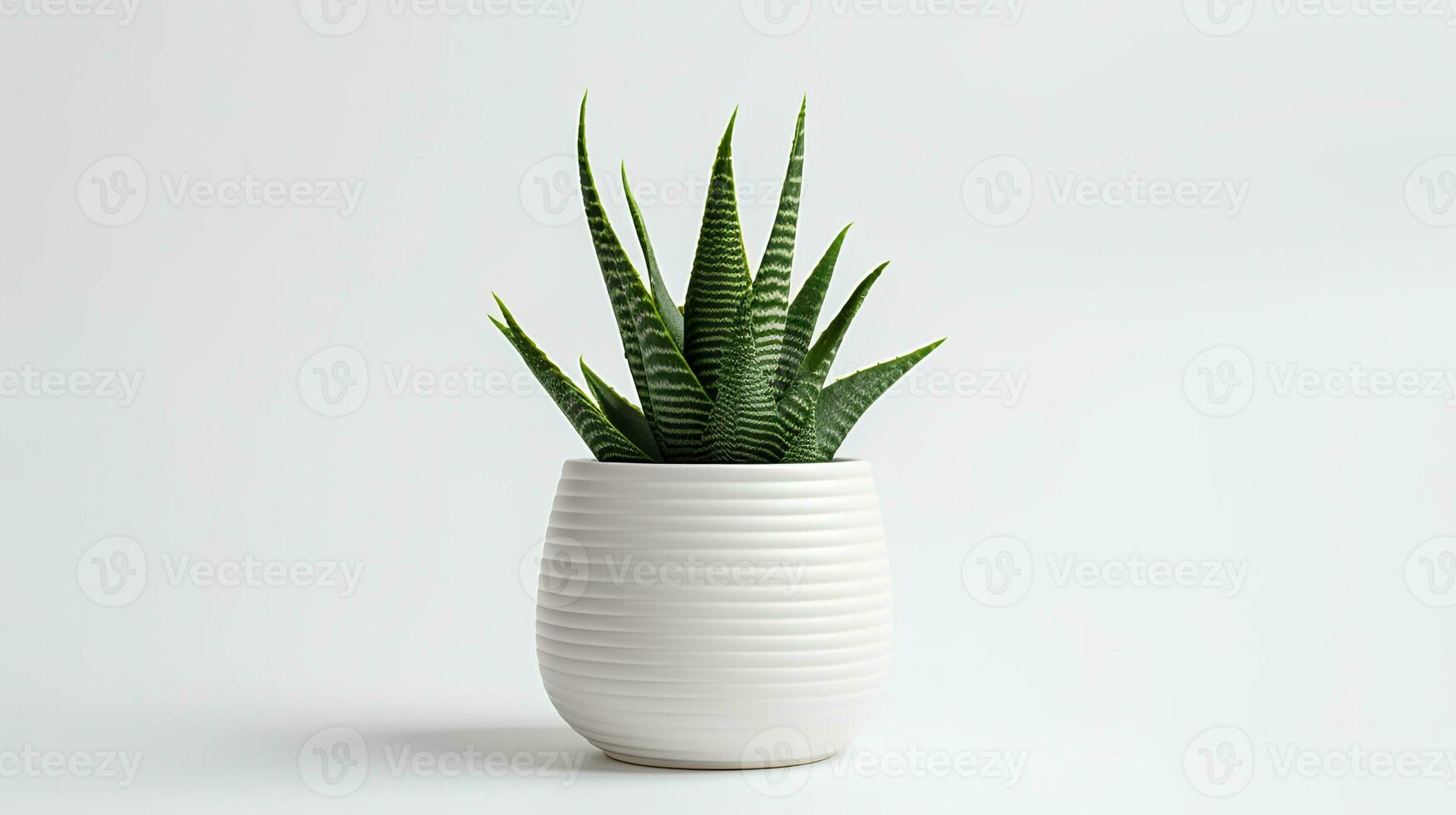 foto de haworthia en minimalista maceta como planta de casa para hogar decoración aislado en blanco antecedentes. generativo ai