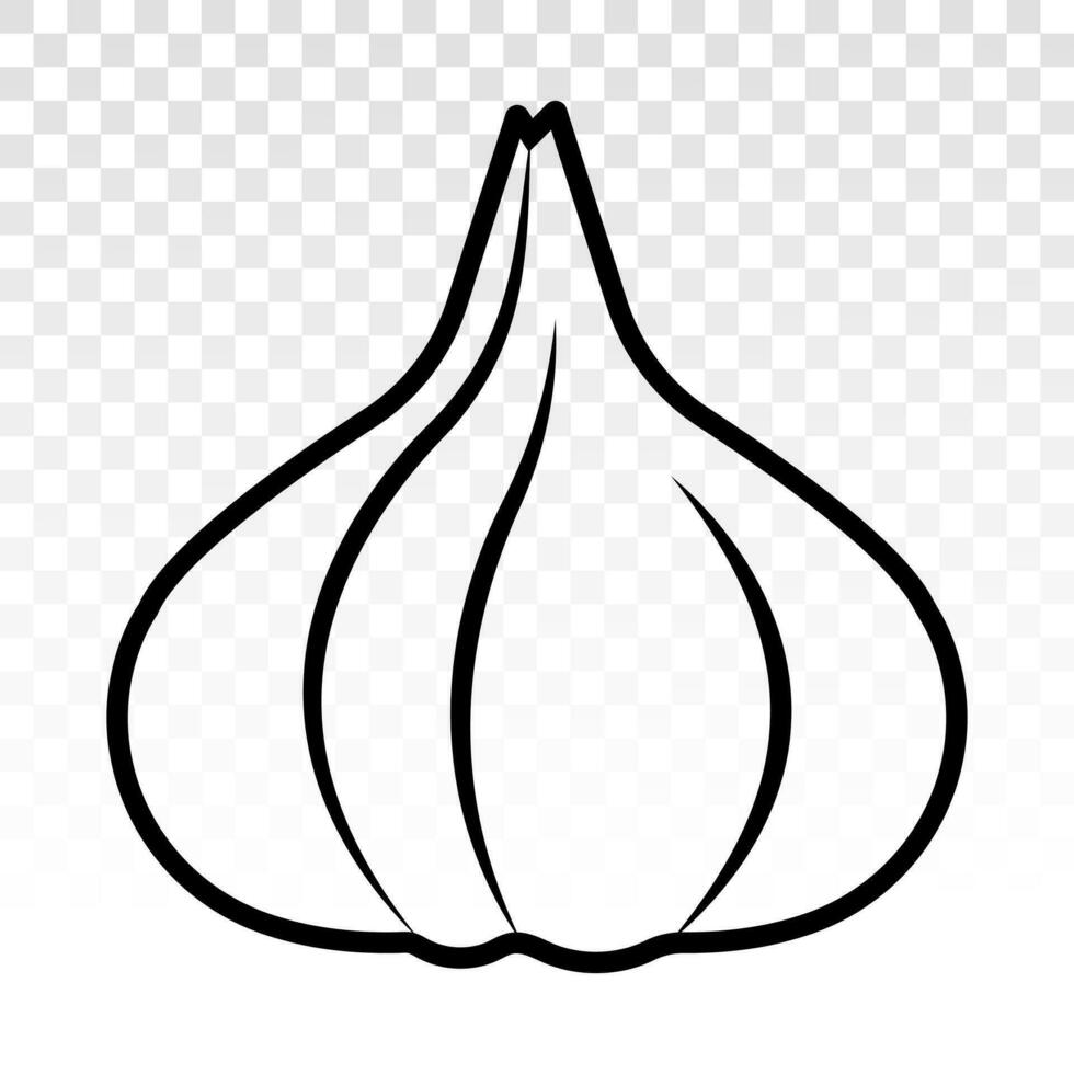 Garlic orallium sativum line art icon for apps and websites vector