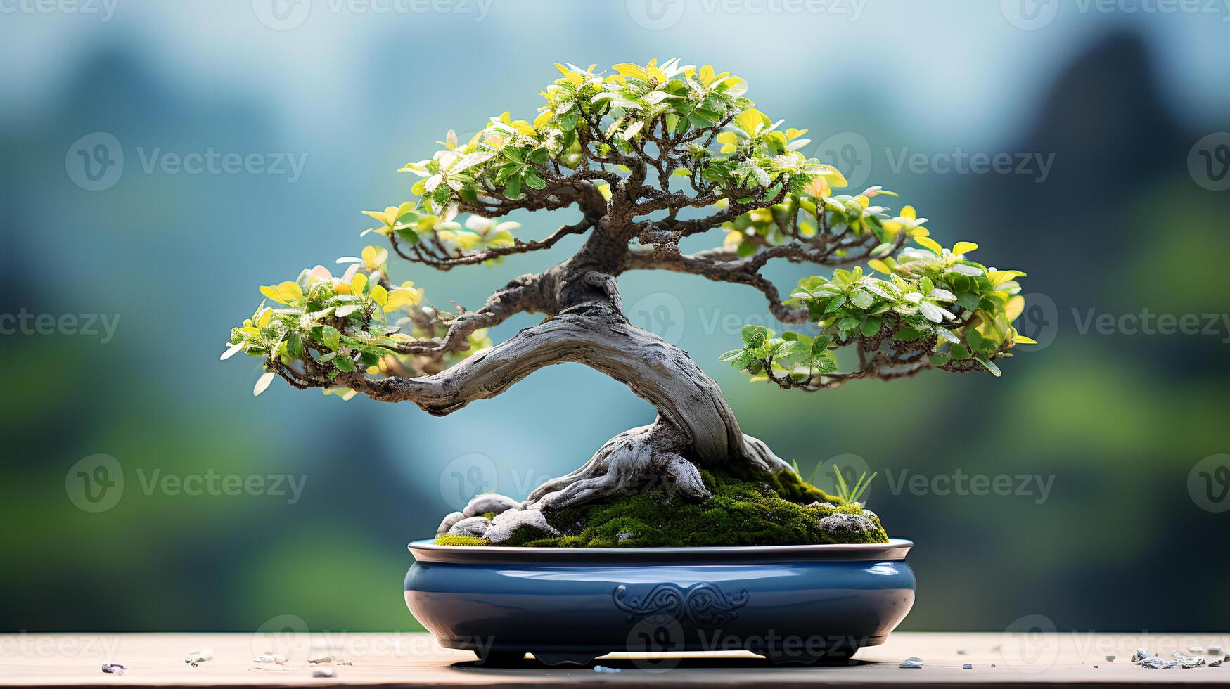 Photo of bonsai in minimalist pot as houseplant for home decoration isolated on blurry background.