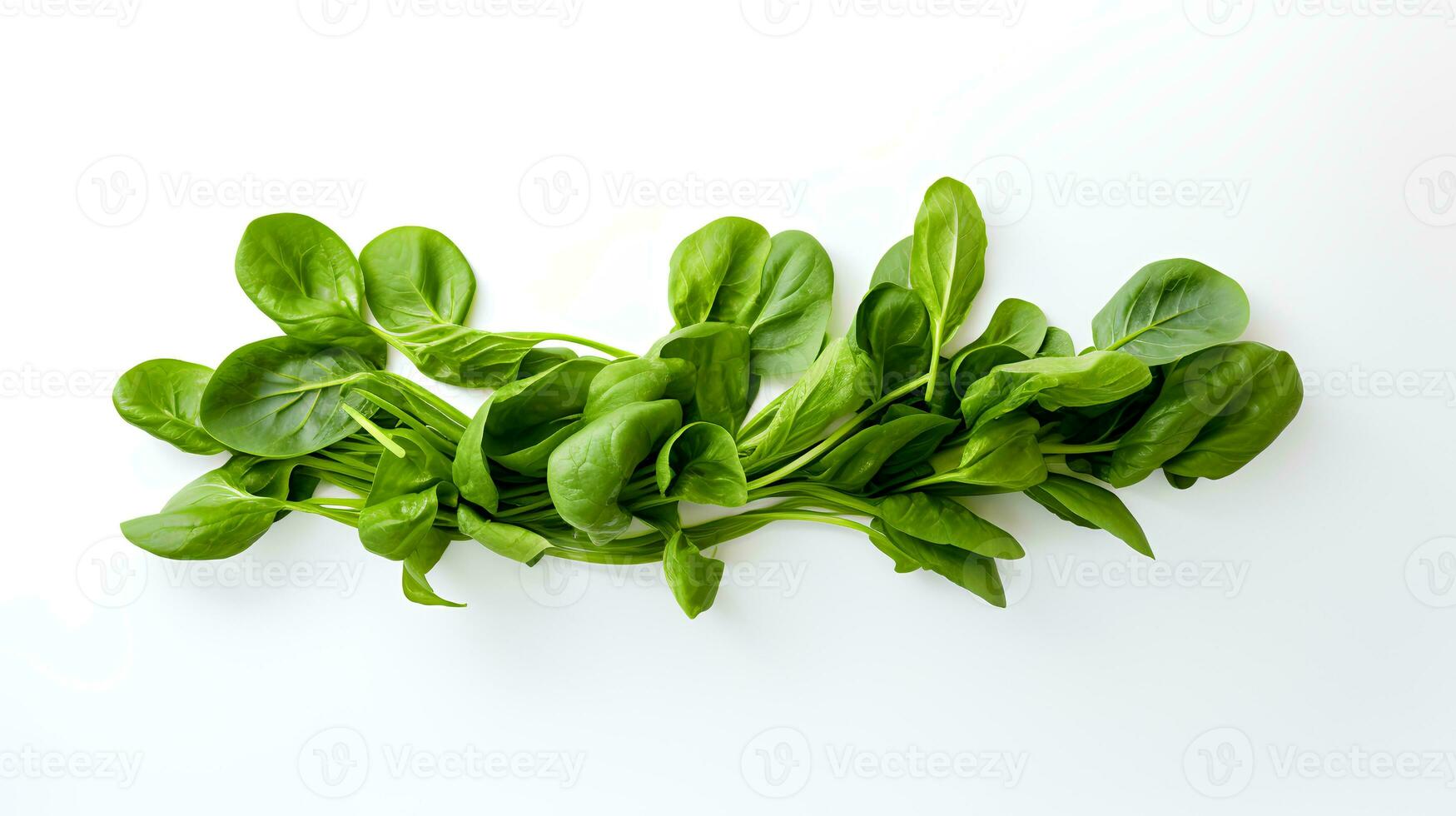 Photo of Spinach isolated on white background