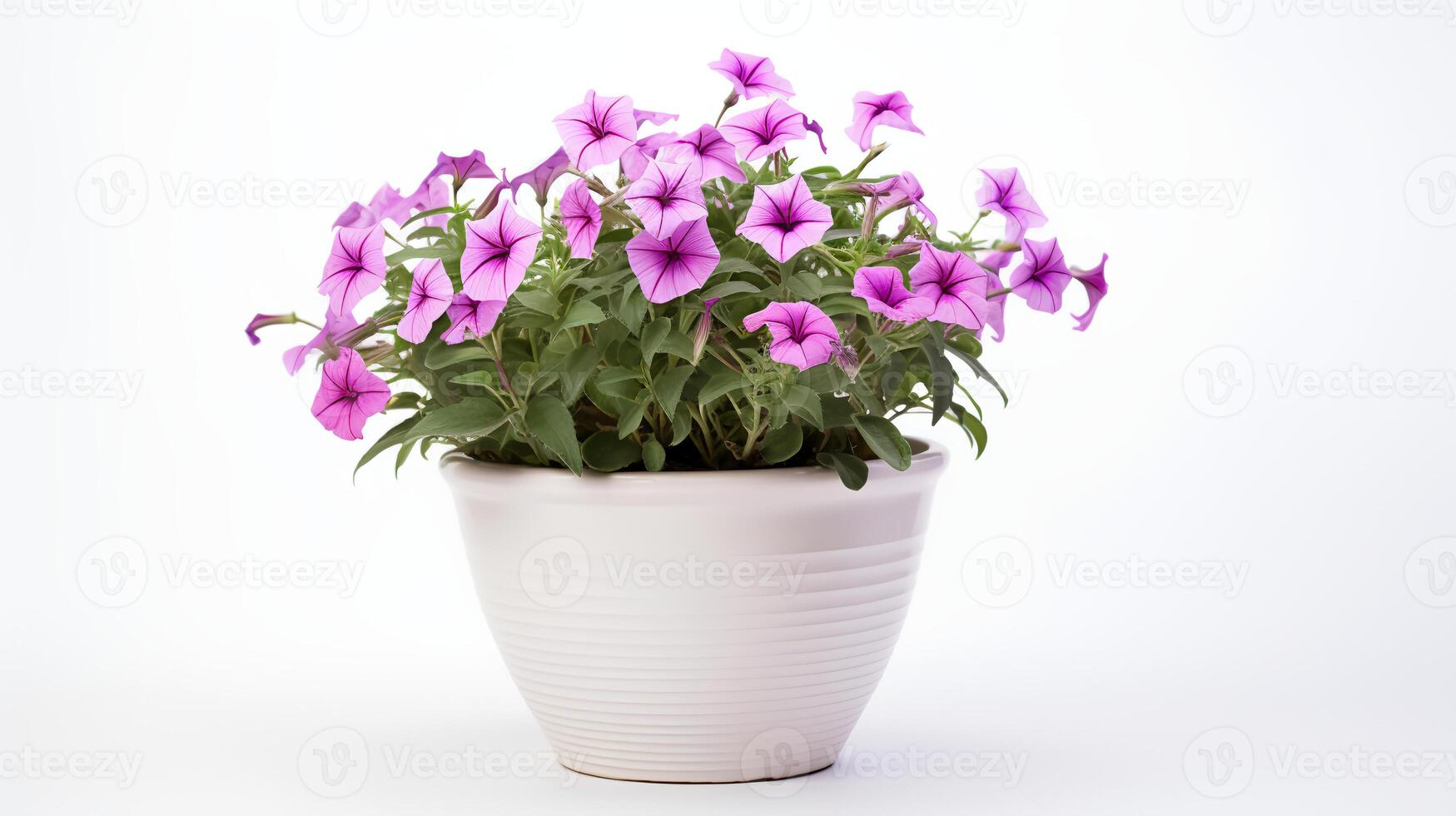 Photo of Petunia in minimalist pot as houseplant for home decoration isolated on white background. Generative AI