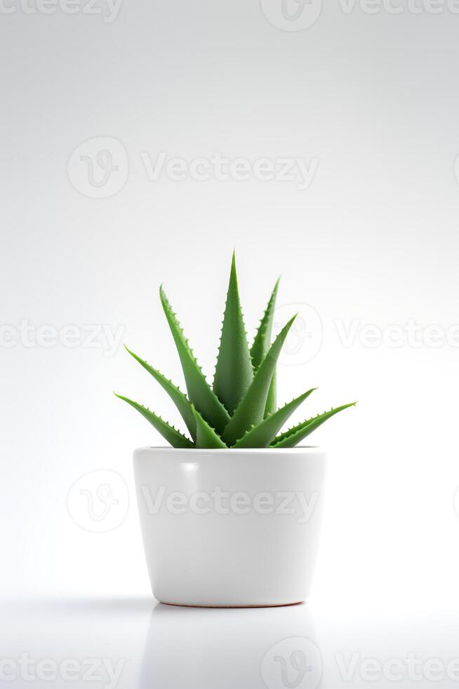 foto de áloe vera en minimalista maceta como planta de casa para hogar decoración aislado en blanco antecedentes. generativo ai