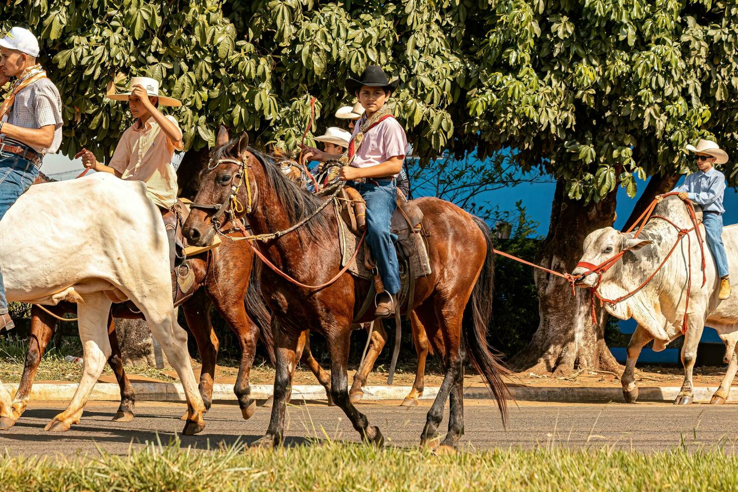 aporo, goiás, Brasil - 05 07 2023 lado de caballo montando evento abierto a el público foto