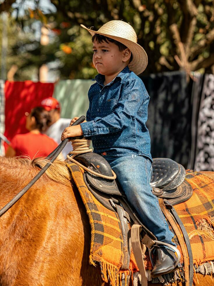 aporo, goiás, Brasil - 05 07 2023 lado de caballo montando evento abierto a el público foto