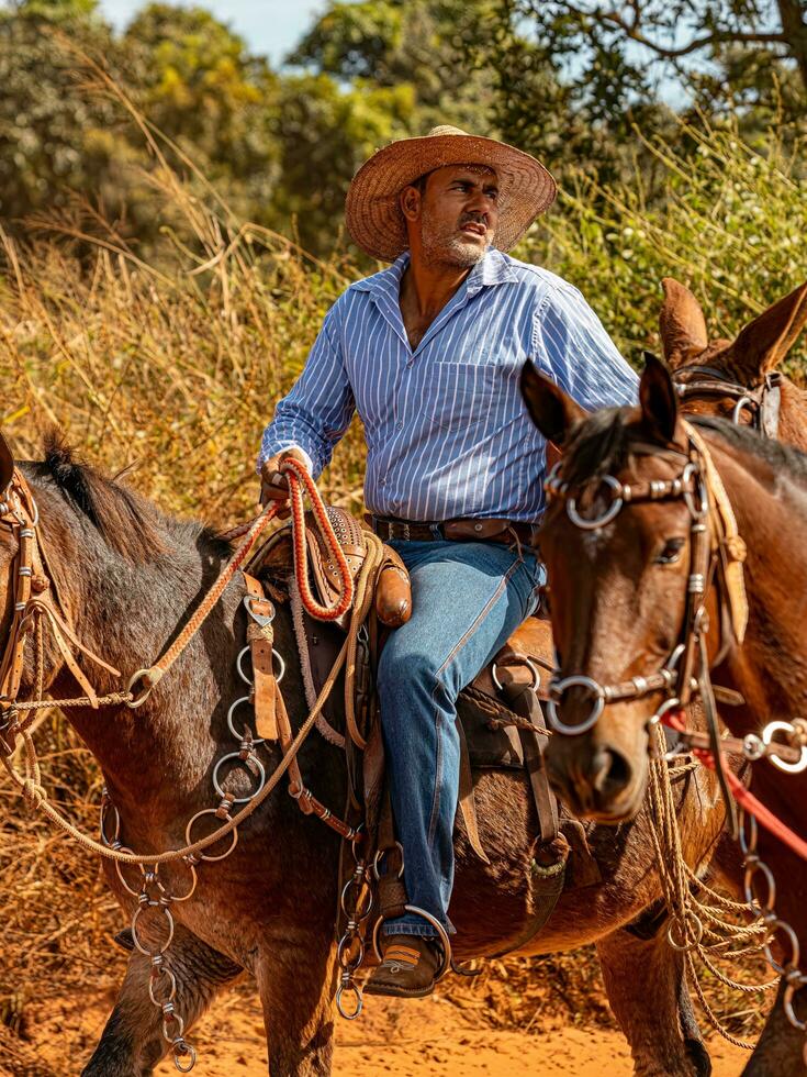 aporo, goiás, Brasil - 05 07 2023 lado de caballo montando evento abierto a el público foto