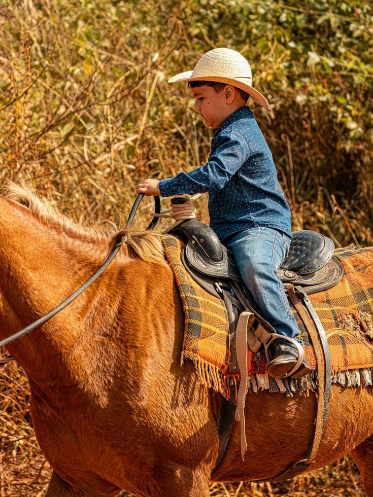 aporo, goiás, Brasil - 05 07 2023 lado de caballo montando evento abierto a el público foto