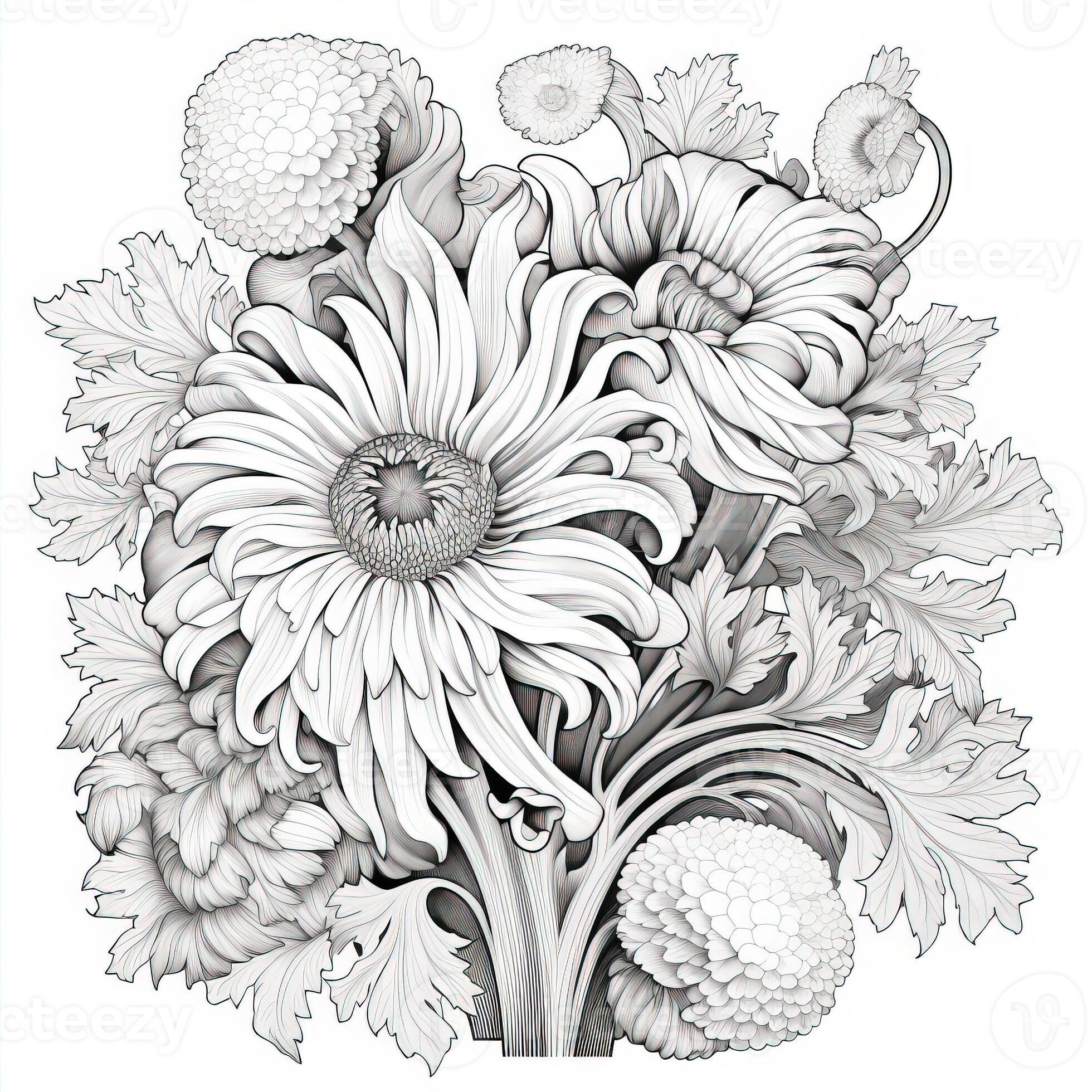 Floral Coloring Pages 26748126 Stock Photo at Vecteezy