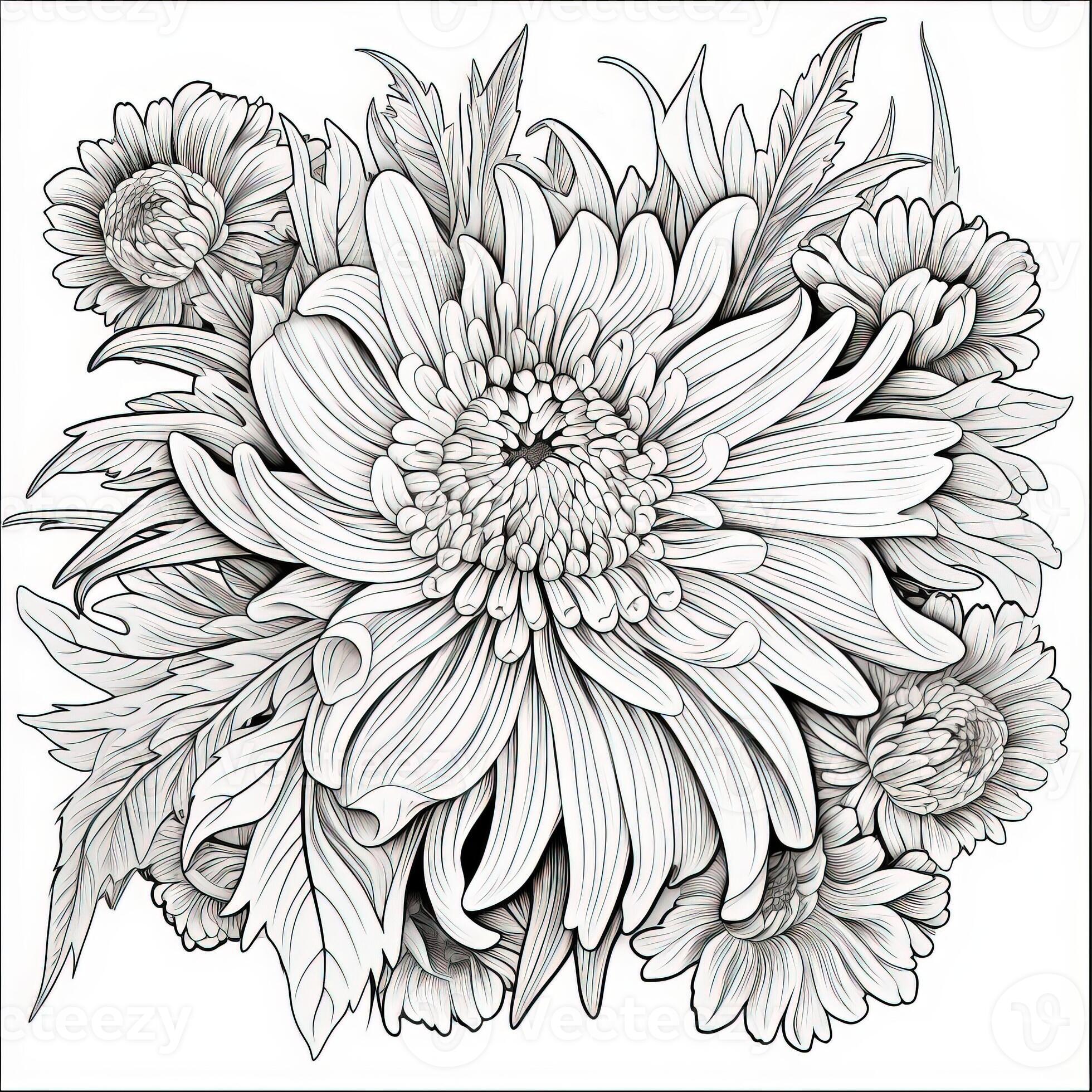 Floral Coloring Pages 26748140 Stock Photo at Vecteezy
