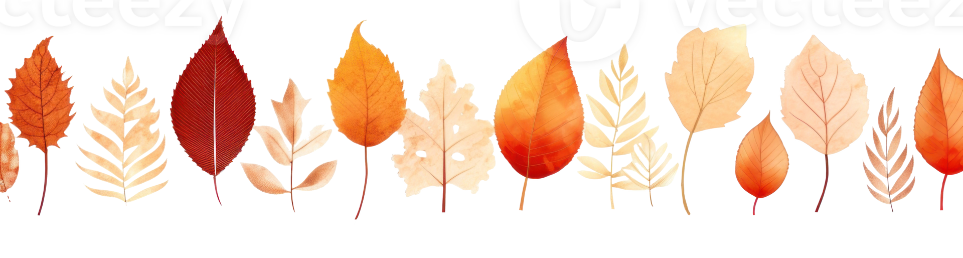 Autumn leaves border isolated png