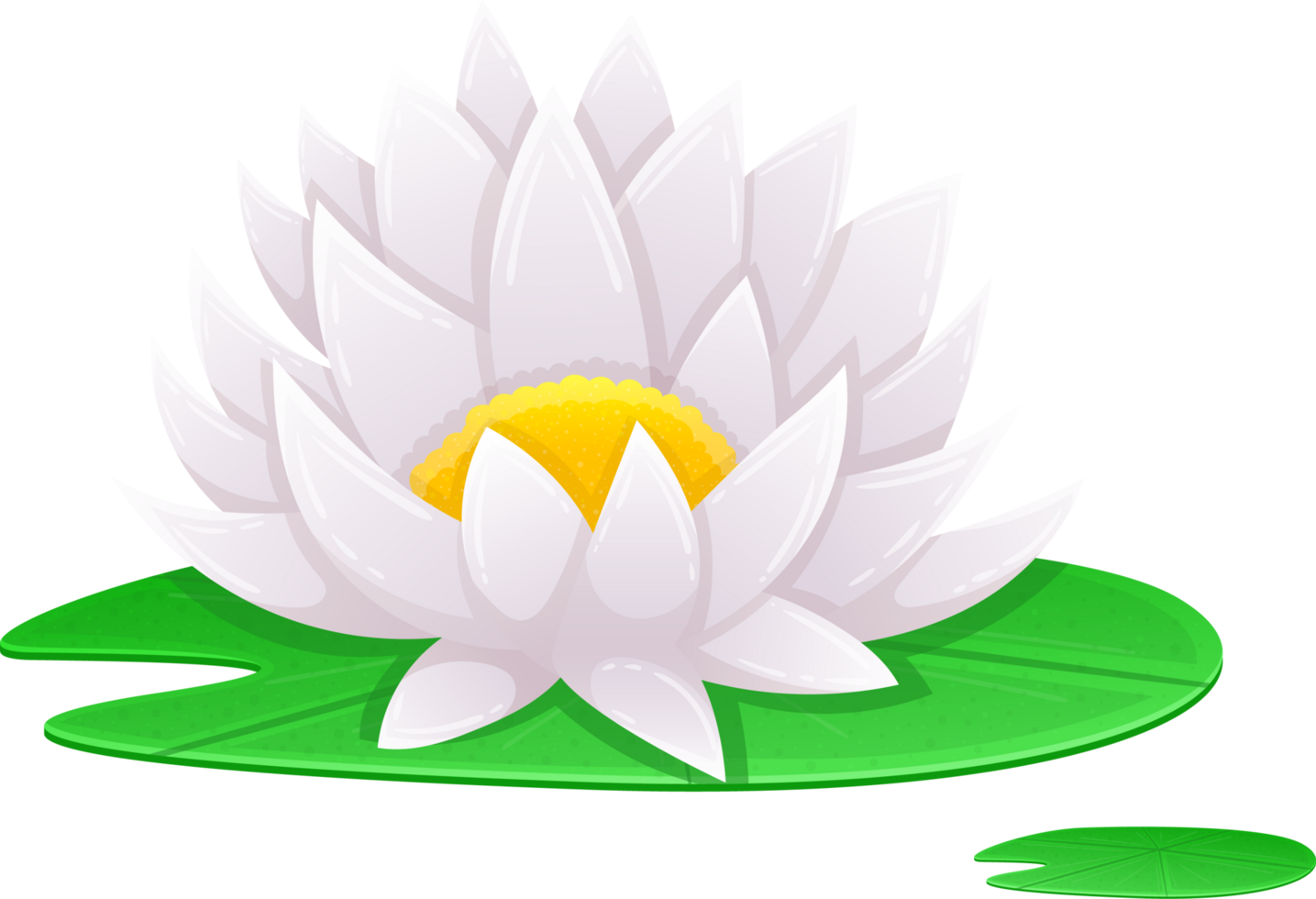 Water lily clipart png