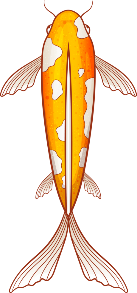 Fish clipart design png