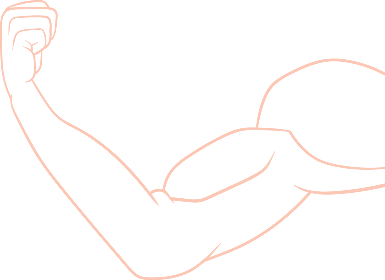 Muscle arm drawing clipart png