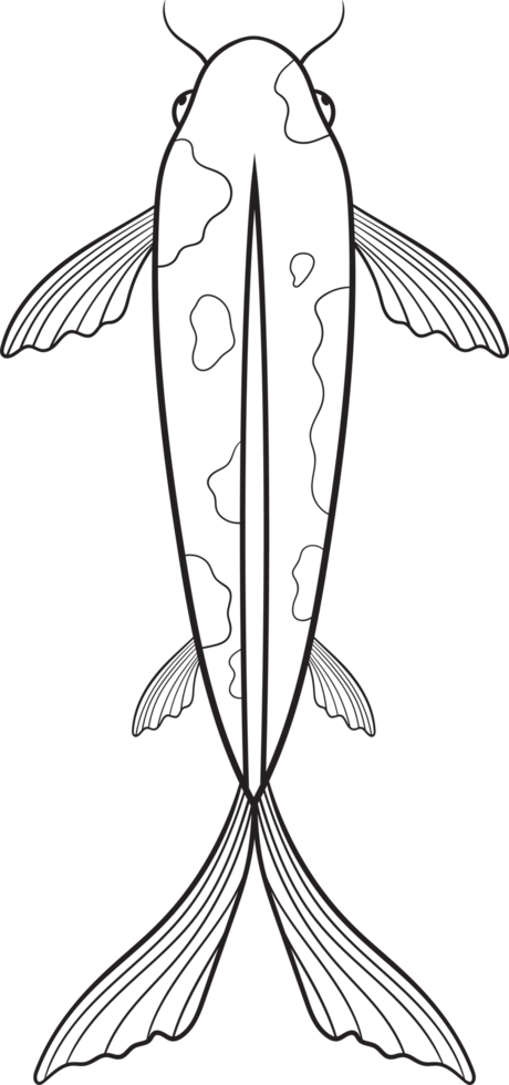 Fish clipart design png