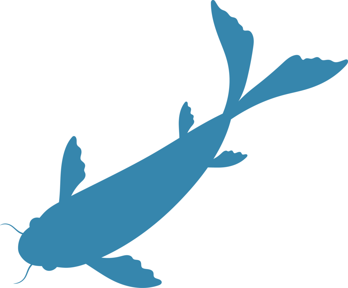 Fish clipart design png