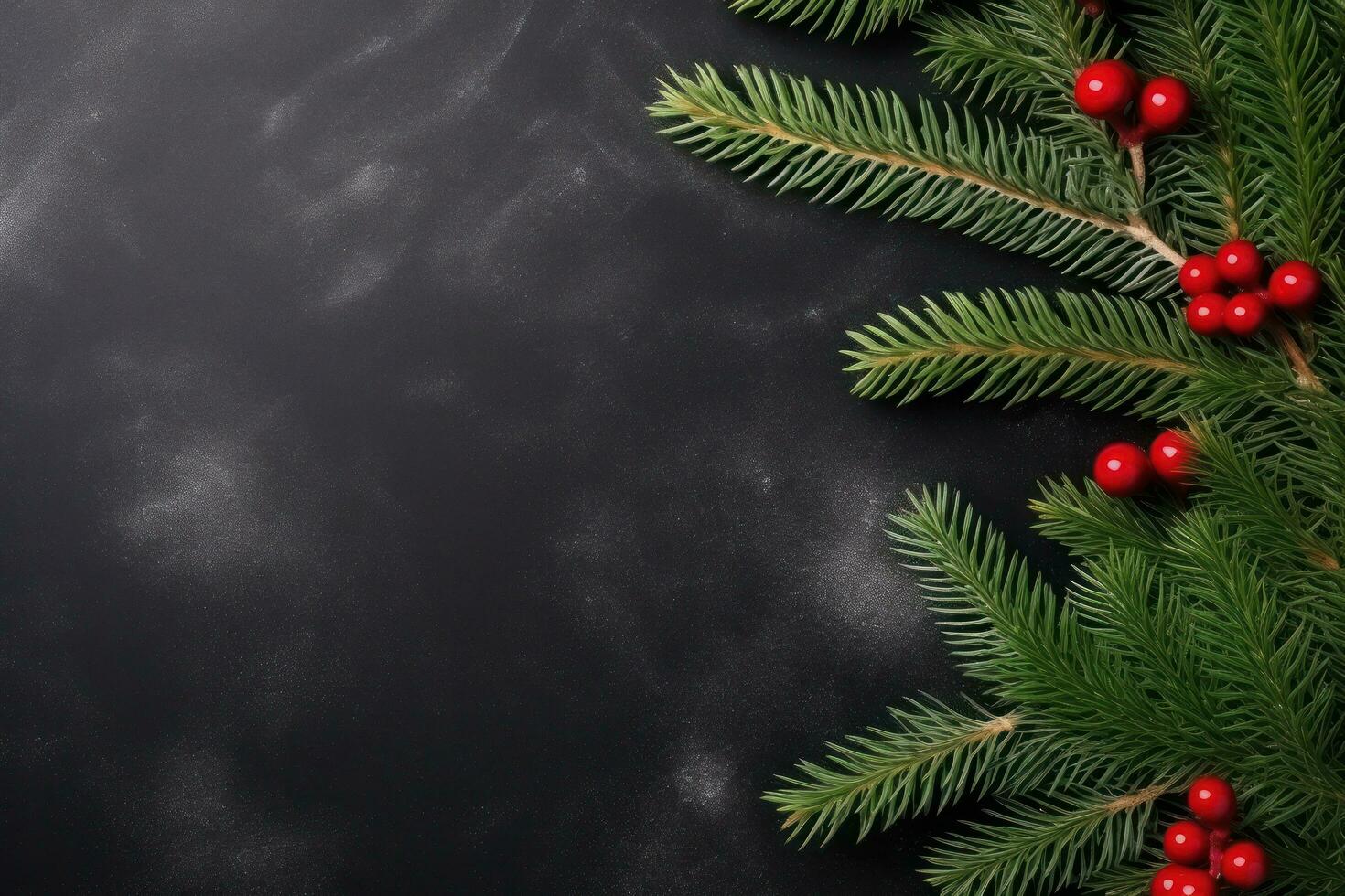 Christmas fir branch background photo