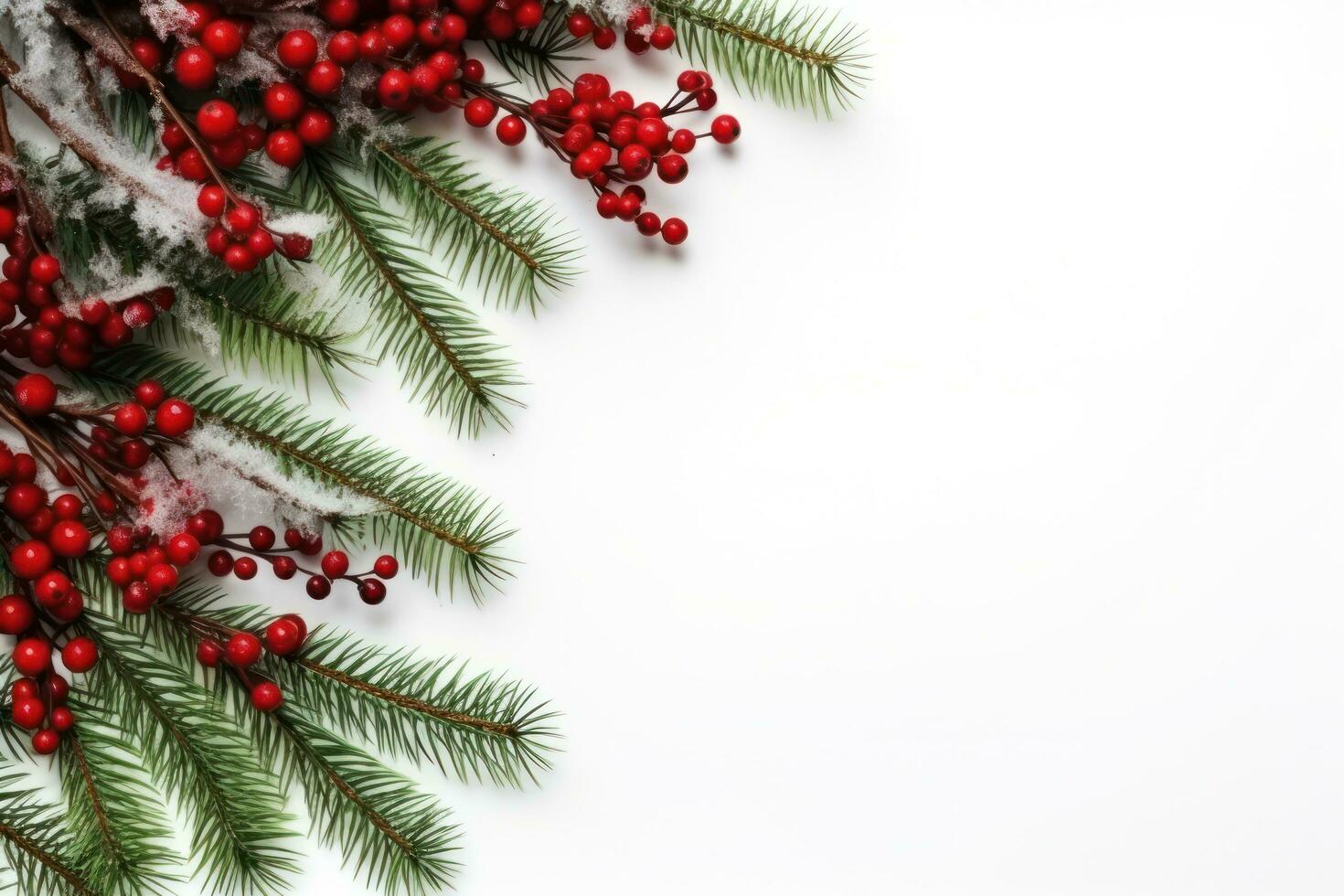 Christmas fir with berries photo