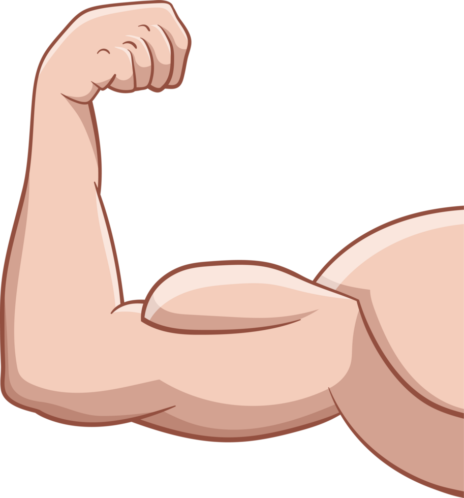 Illustration of person's arm, Muscle Drawing Augu0161delms Arm, A strong  upper arm transparent background PNG clipart