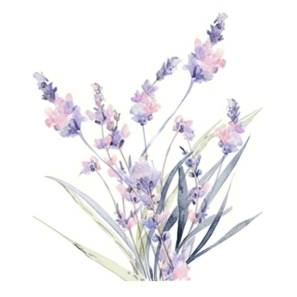 Watercolor lavender background photo