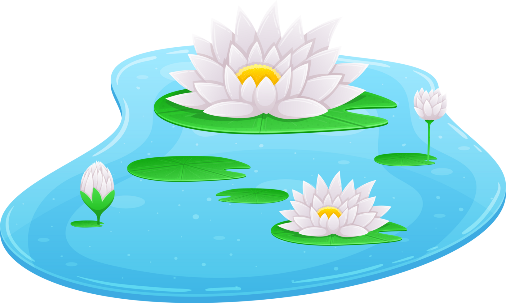 Water lily clipart png