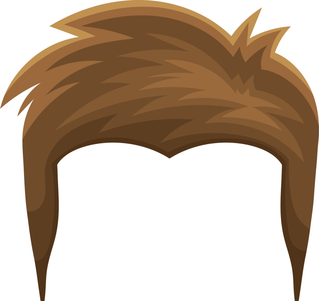 Cabelo, Cabelo Preto, Cabelo Castanho png transparente grátis