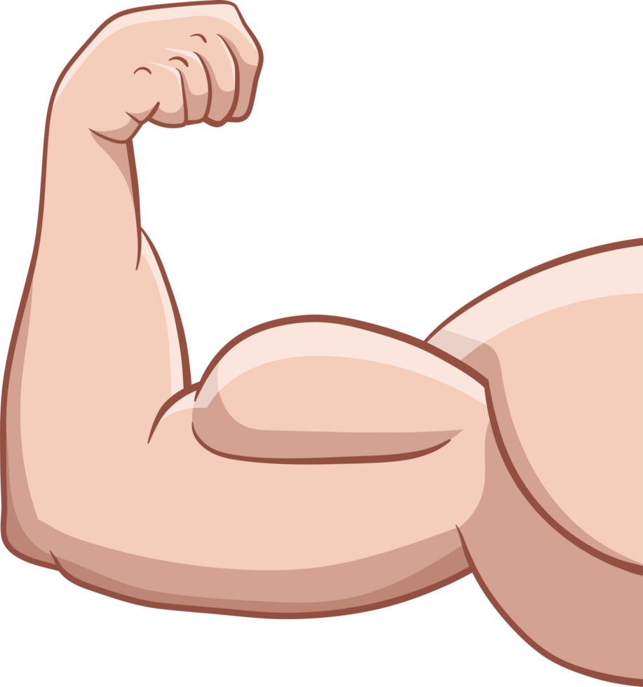 Muscle arm drawing clipart png