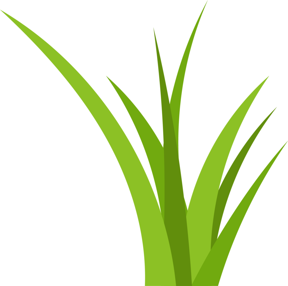 Green grass clipart png
