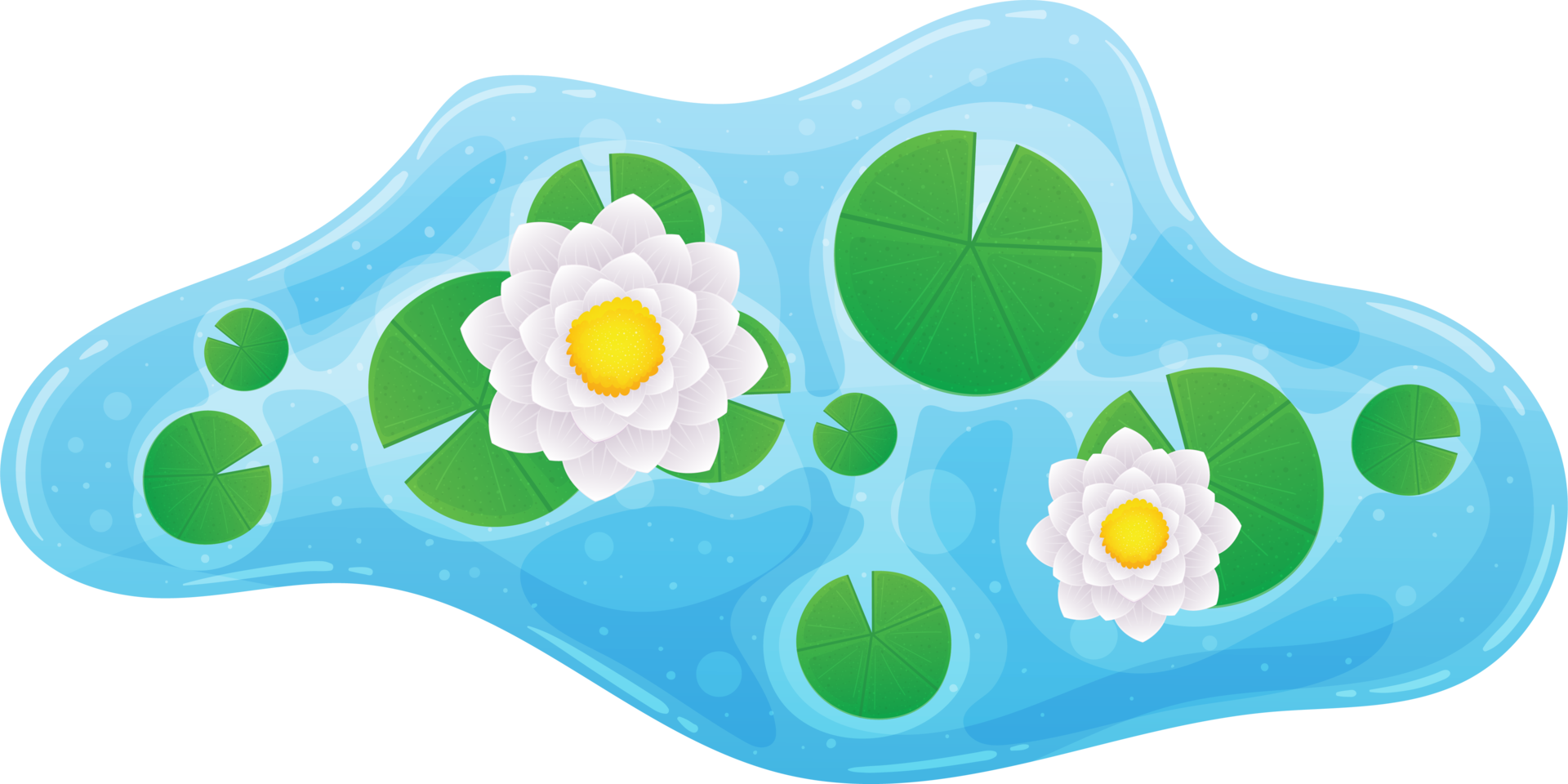 agua lirio clipart png